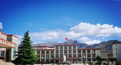 藏医学专业