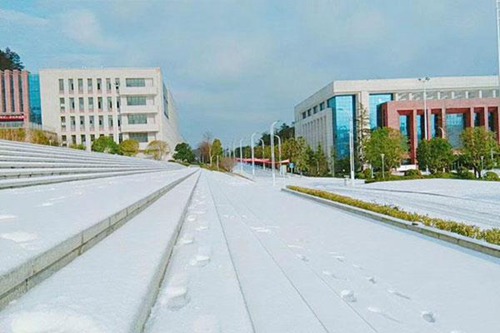江西艺术职业学院3+2五年制大专分数线