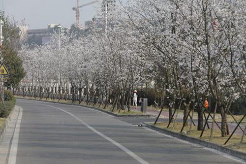 贵州交通职业技术学院五年制大专2022年报名条件_招生对象