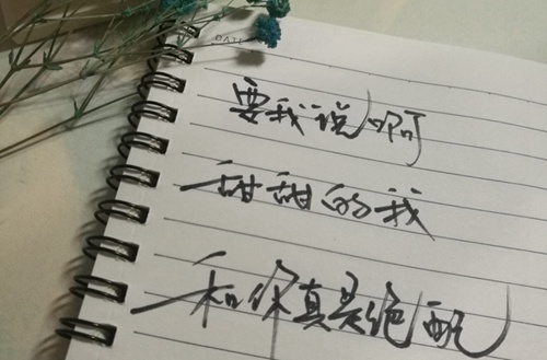 河北艺术职业中学美术专业课和文化课的比例各占多少