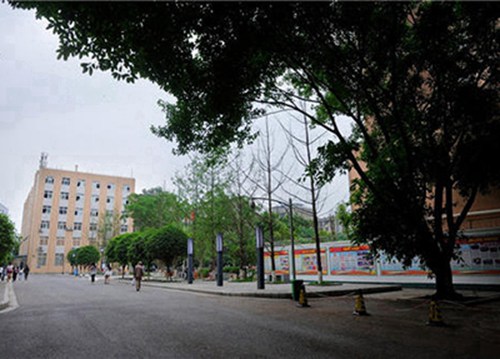 石家庄市联华职业中专学校怎么样
