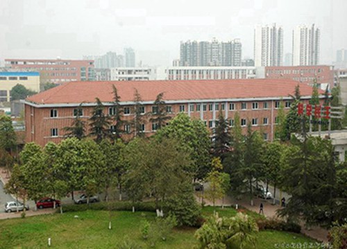 石家庄同创铁路学校2023年秋季运动会开幕式精彩回顾