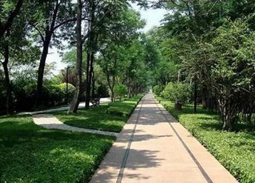 石家庄旅游学校特色专业之铁道运输管理专业