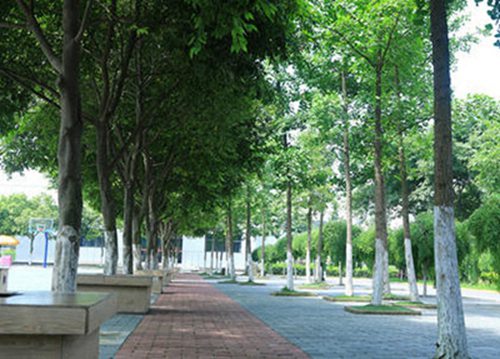 邯郸建筑工程中专学校开设哪些专业？