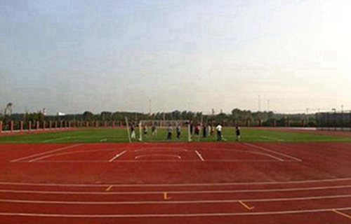 石家庄白求恩医学院2023年春季招生专业