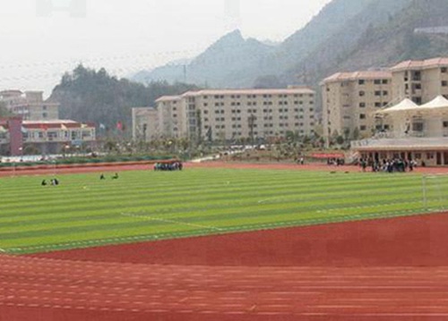 沙河市卫生学校开设有哪些专业