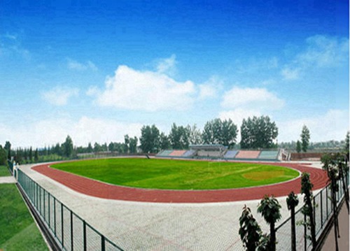 石家庄冀联医学院中药专业主要学习什么
