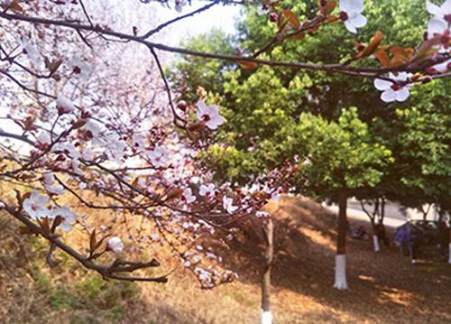 石家庄法商中等专业学校勤工助学模式助力贫困学生顺利完成学业