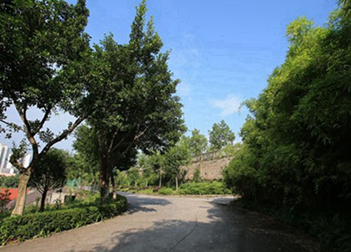 石家庄清美动漫学校地址在哪