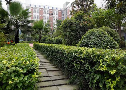 在石家庄东华铁路学校上学是怎样的体验?